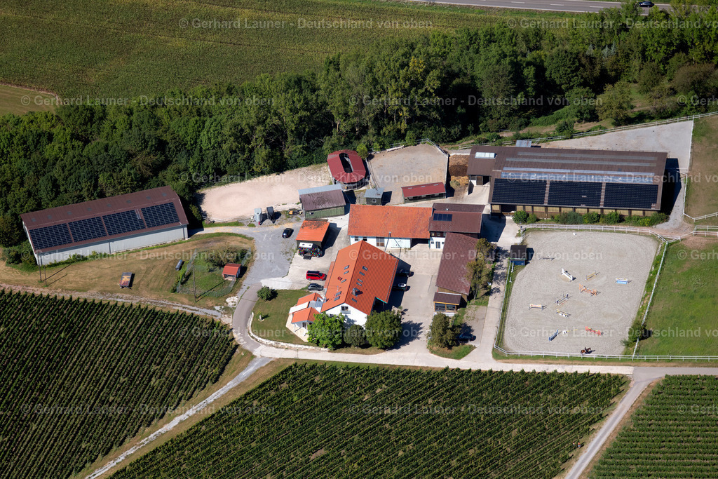 3902797 | Reiterhof, Weingut, Untergruppenbach