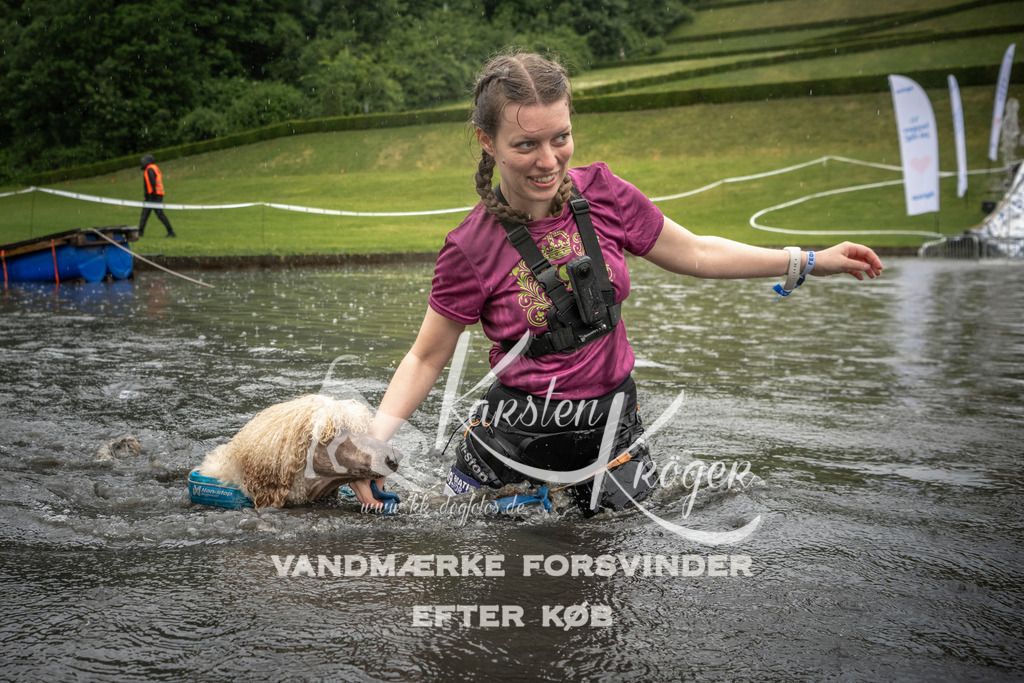 1413_ZZ99491 | kk-dogfotos