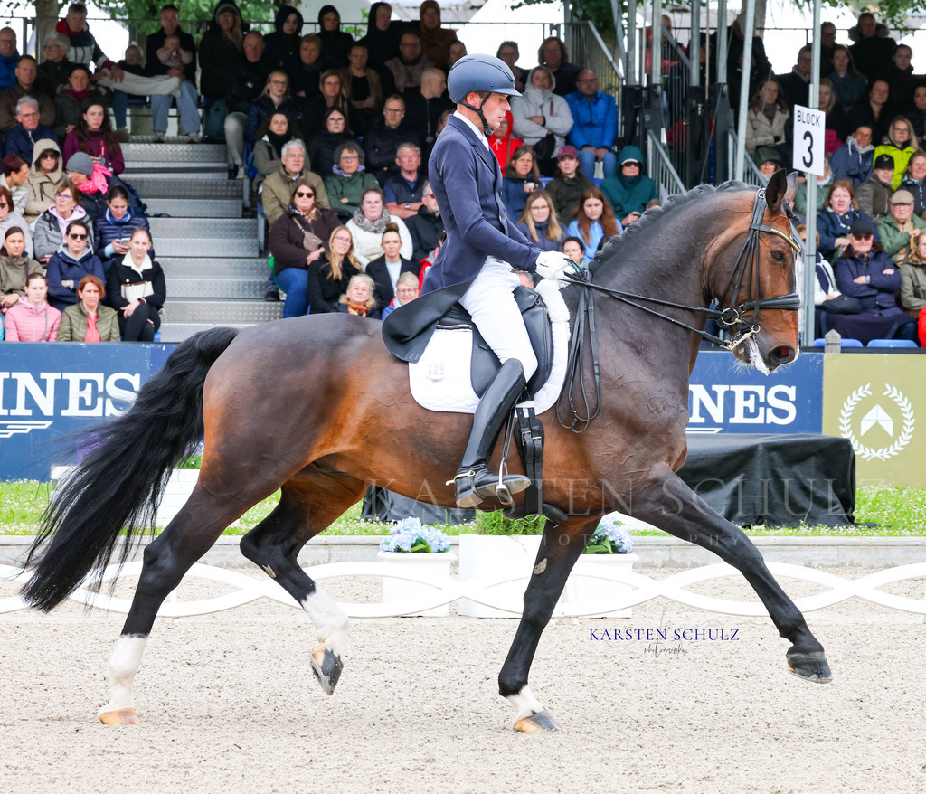1B3A7578 | Reitsport Reiten