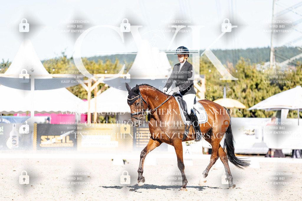 CK908244 | Turnierfotografie Pferdefotografie Trier Rheinland-Pfalz Pferdesport Reitsport Tierfotografie Sportfotografie Pferdevideo Pferdevideografie Equestrianvideography equestrianphotography  - Realisiert mit Pictrs.com