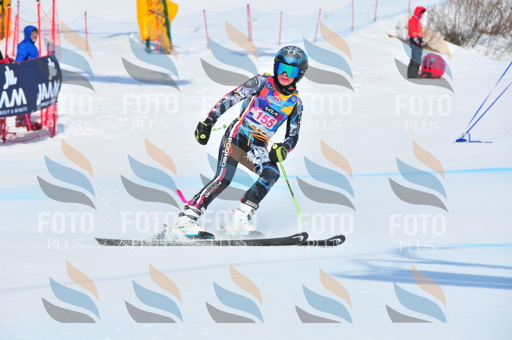 DSC_5121 | holidayphoto