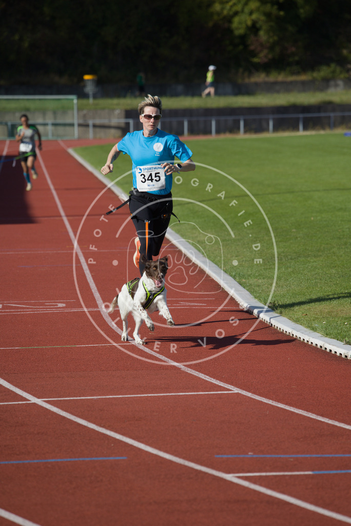 0L8A9139 | Hundefotografie, Tierfotograf, Pfotenfotografie, Fotoshooting Hund, Hunde Portrait, Hundesport, Hundeportraits, Heideshooting, Hunde, Sportfotograf, Hundefotograf, Turnierhundsport, THS,  - Realisiert mit Pictrs.com