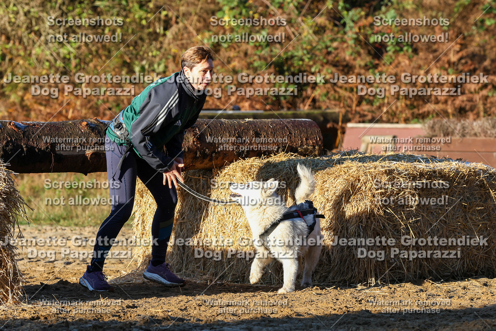 Dog Paparazzi - Strongdog 10-25-937 | Dog Paparazzi Jeanette Grottendiek Fotografie & Videografie - Realisiert mit Pictrs.com