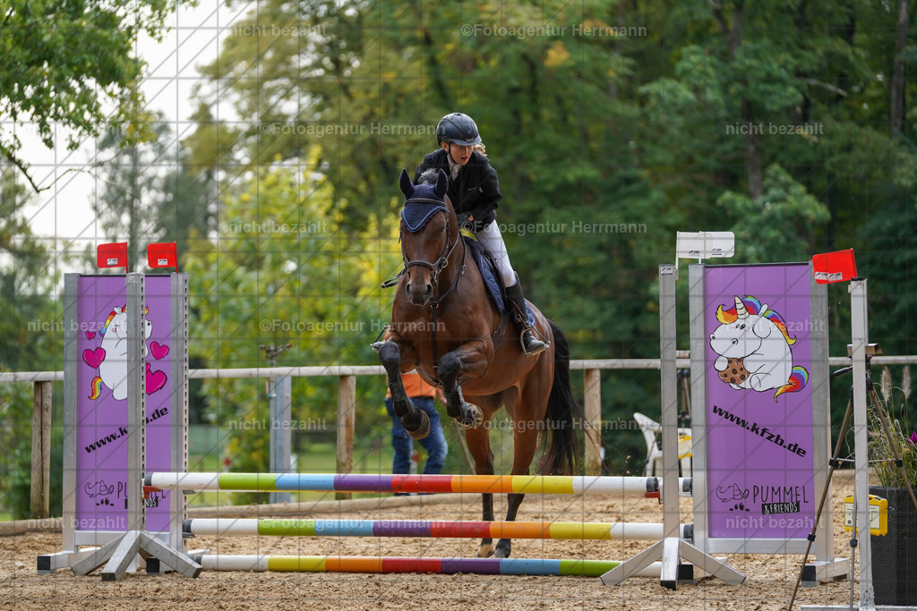 20231008-SN_01214 | Professionelle Turnier- und Reitsportfotografie - mit dem Finger am Auslöser. Pferdebilder aus dem Reitsport von den Turnierfotografen  Bayern , Pferdefotograf Bayern, Pferdeshooting Turnierbilder, Hochzeitsfotograf, Eventfotograf, Hochzeitsbilder
