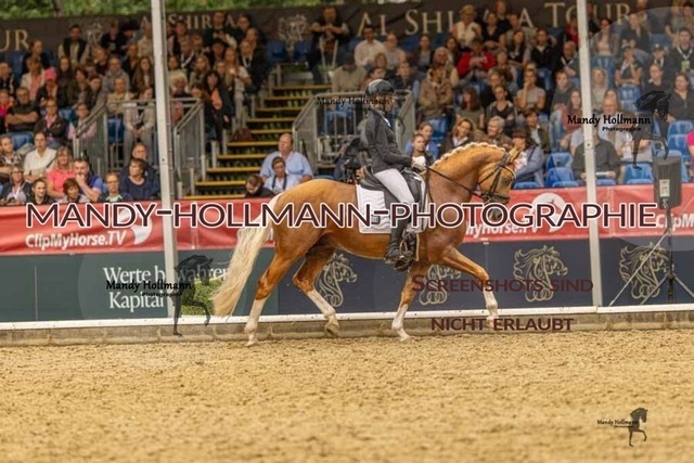 28-8-26 5j DRE-1439 | mandyhollmannphotographie
