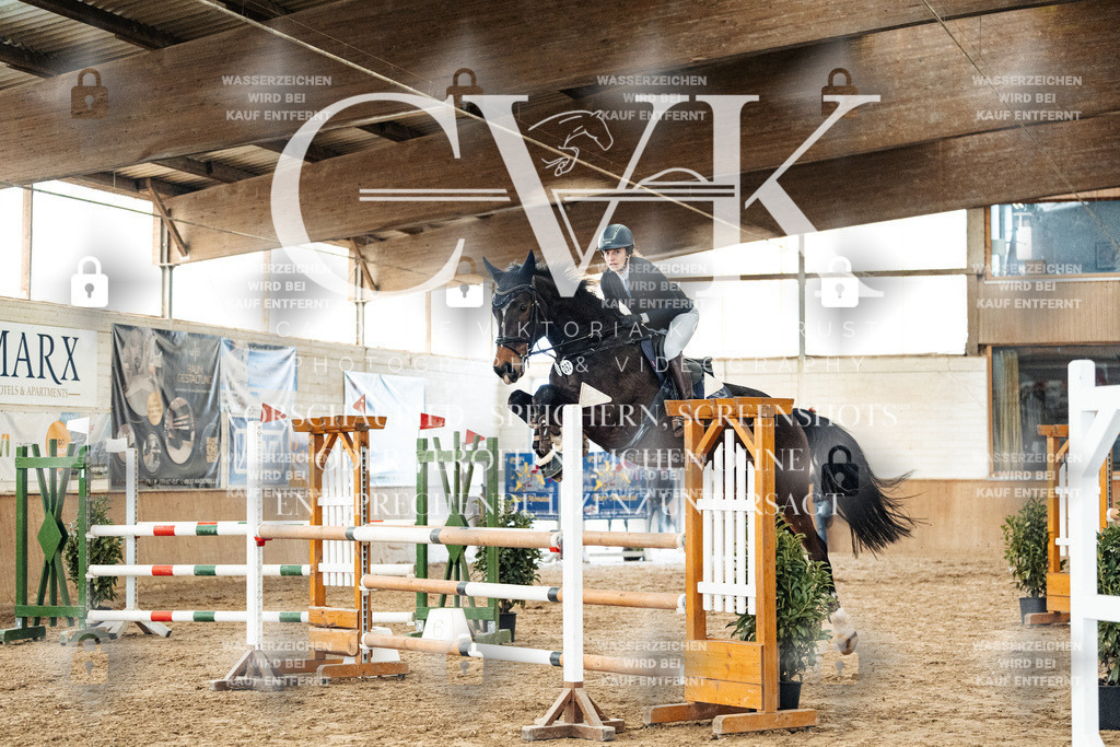 CK906244 | Turnierfotografie Pferdefotografie Trier Rheinland-Pfalz Pferdesport Reitsport Tierfotografie Sportfotografie Pferdevideo Pferdevideografie Equestrianvideography equestrianphotography  - Realized with Pictrs.com