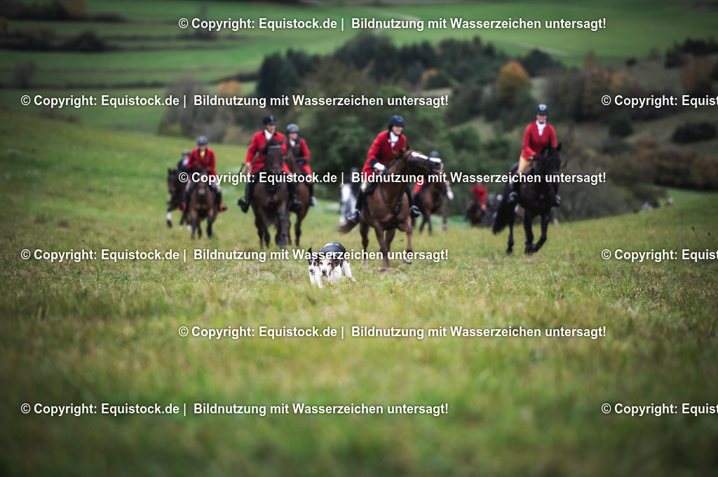 20241013_Jagd-Marbach_0218 | Foto: Thomas Hartig
