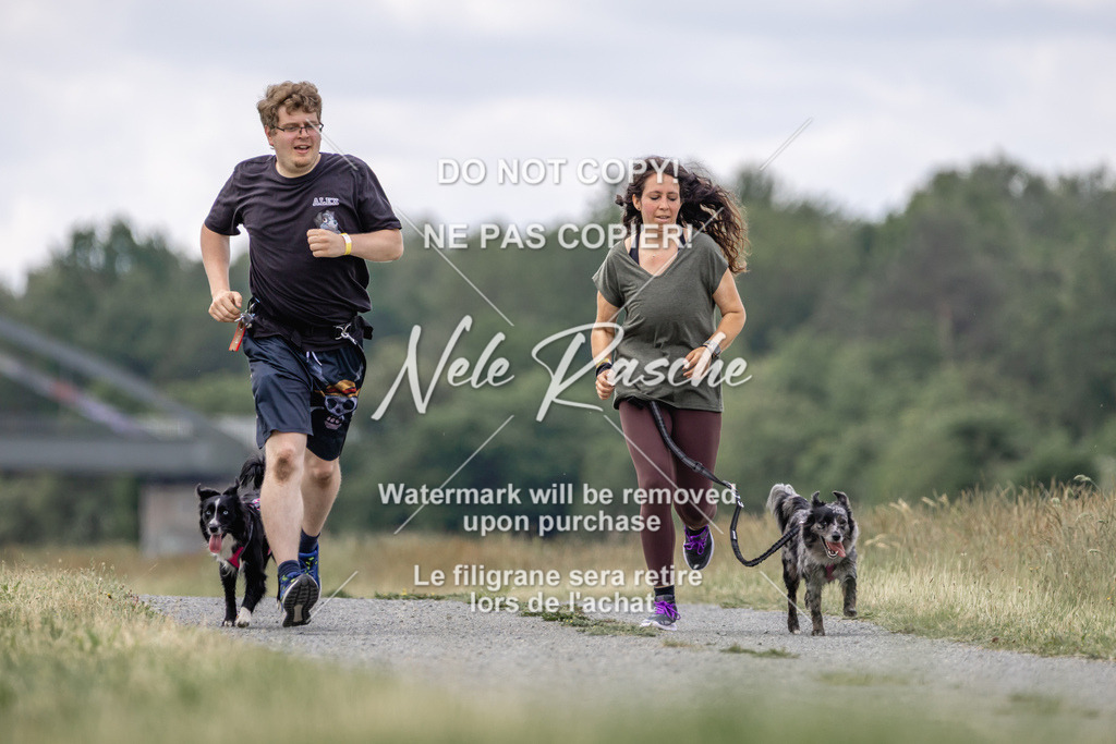 nelerasche_BuHu2026_SaCC1100-1200_164 | nelerasche