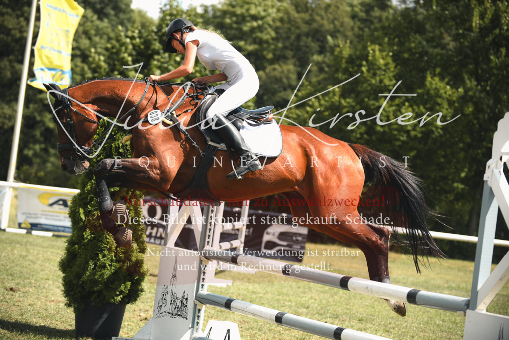 DSC_6661 | Pferde- und Turnierfotografie in Westsachsen. Pferdeportraits, Auftragszeichnungen und intuitive Kunst.