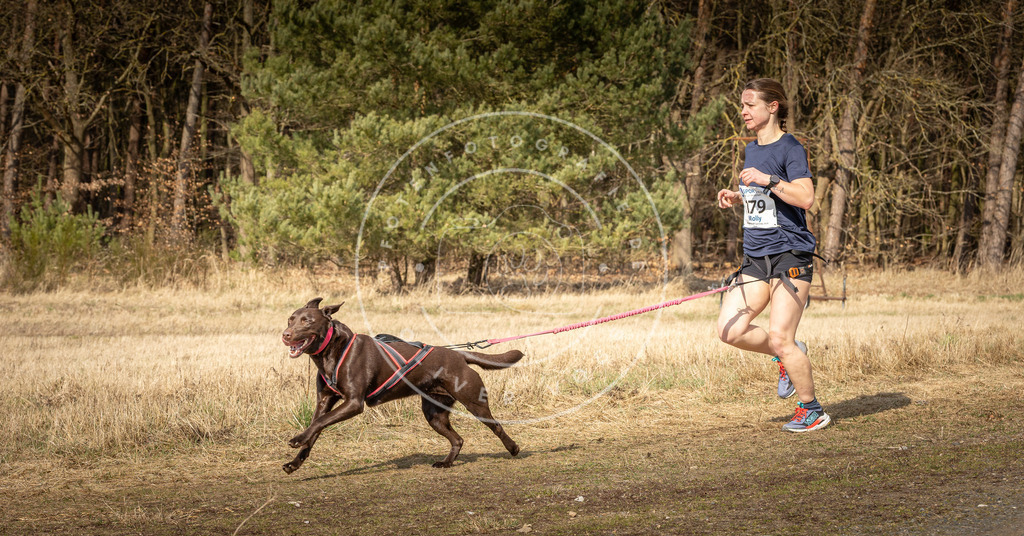 DV3A5696 | Hundefotografie, Tierfotograf, Pfotenfotografie, Fotoshooting Hund, Hunde Portrait, Hundesport, Hundeportraits, Heideshooting, Hunde, Sportfotograf, Hundefotograf, Turnierhundsport, THS,  - Realisiert mit Pictrs.com