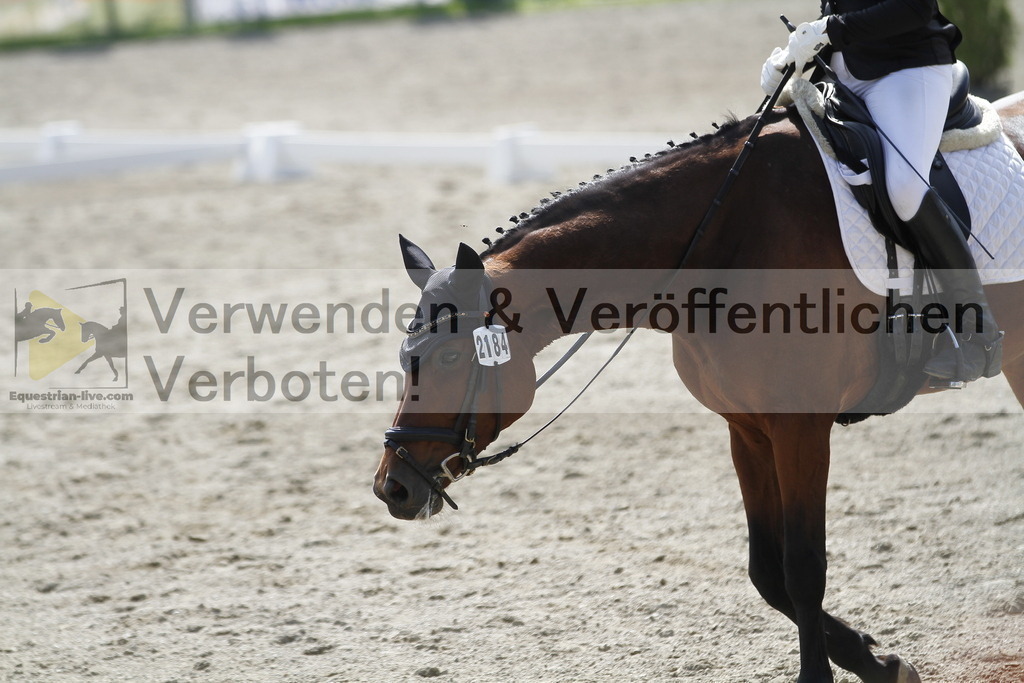 _MG_2160 | equestrian-live-com