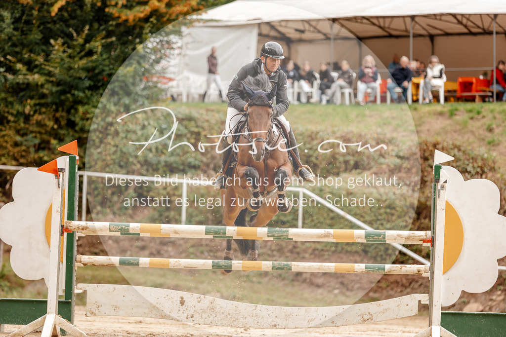 3I6A8006 | Stimmungsvolle Portraits und Reitsportfotografie im Ruhrgebiet und im Münsterland.

Pferdefotografie, Hundefotografie, Tierfotografie, Reportagen, Portraits von Tier und Mensch, Turnierfotografie in Bochum, Recklinghausen, Marl, Haltern am See, Dülmen.. - Realisiert mit Pictrs.com