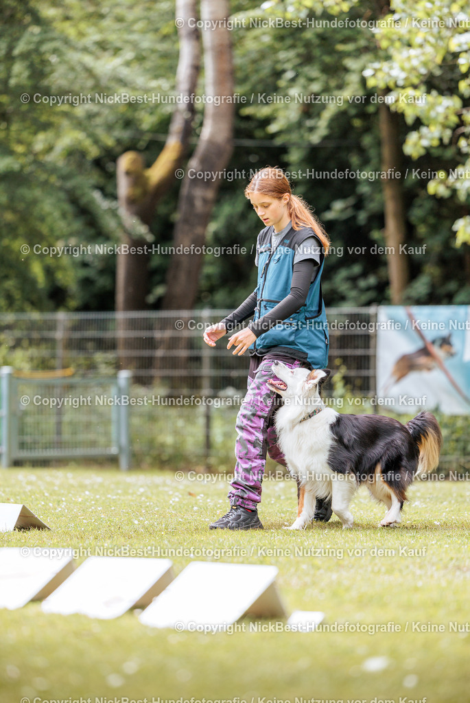 RO-Blumenthal-2026-Nickbest-Hundefotografie-2203 | Dein Hund! Dein Moment! Deine Erinnerungen! Hundefotografie in Bremen Blumenthal. Ich fange die besonderen Momente deines Vierbeiners ein – ob Indoor mit Blitzanlage oder in der freien Natur. Sicher dir dein Moment und dein Termin für eure Erinnerungen.