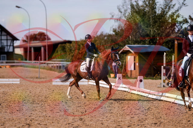 2026_10_03_Siefer-Hof_133157_Z81_87690910 | Professionelle Reitsport-, Turnier- und Eventfotografie von Robert Broda. Galerien mit ausgewählten und bearbeiteten Bildern direkt online ansehen und bestellen.