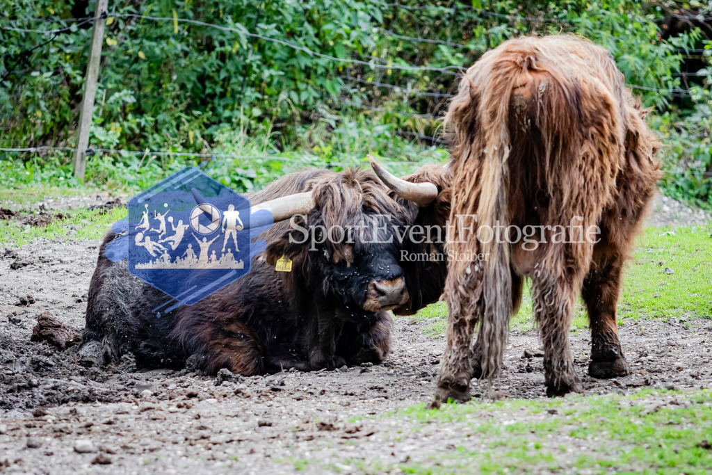 IMG_4142 | SportEventFotografie - Roman Stoiber