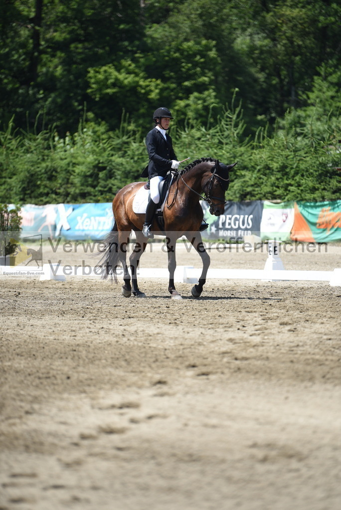 DSC_0136 | equestrian-live-com