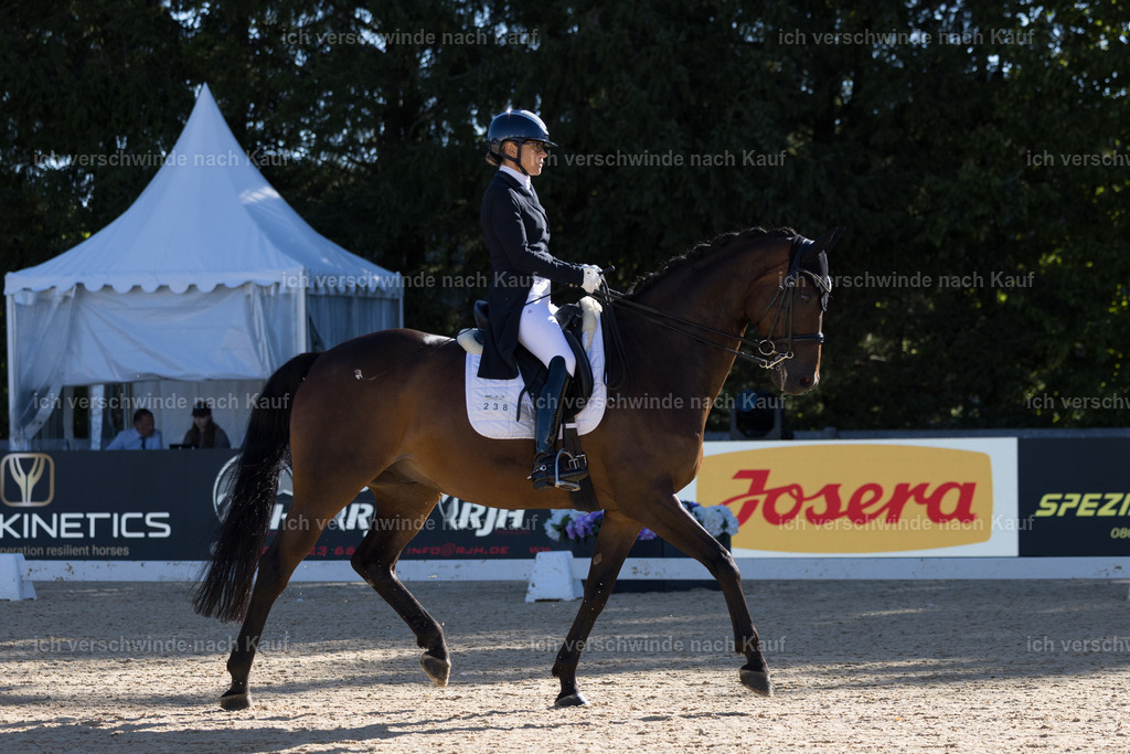 FHC2026_P07_238_17195 | working equitationturnier fotograf videograf stoibphotography marixx film working equitation deutschland reitsport turnierfotografie eventfotografie equestrian events