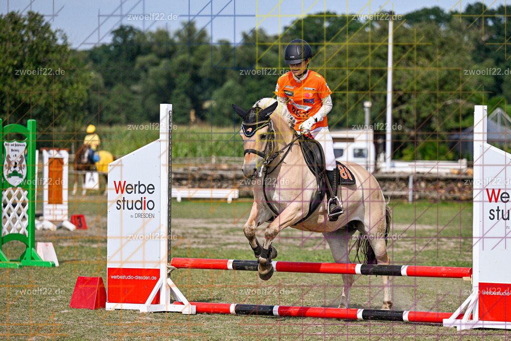 30 Jahre RFV Pulsnitz e.V., Pulsnitz am 09.08.2026 | Zur 28. breitensportlichen Veranstaltung des RFV Pulsnitz e.V. fanden verschiedene Wettbewerbe in nahezu allen Disziplinen des Pferdesport statt. - 05 Kostüm-Stilspring-Wettbewerb - Realisiert mit Pictrs.com