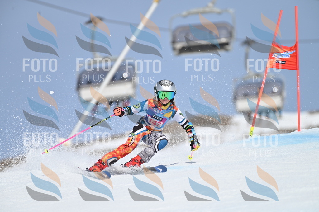 BGV_0268 | holidayphoto