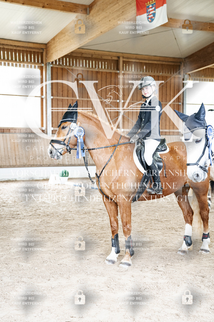 CK703424 | Turnierfotografie Pferdefotografie Trier Rheinland-Pfalz Pferdesport Reitsport Tierfotografie Sportfotografie Pferdevideo Pferdevideografie Equestrianvideography equestrianphotography  - Realisiert mit Pictrs.com