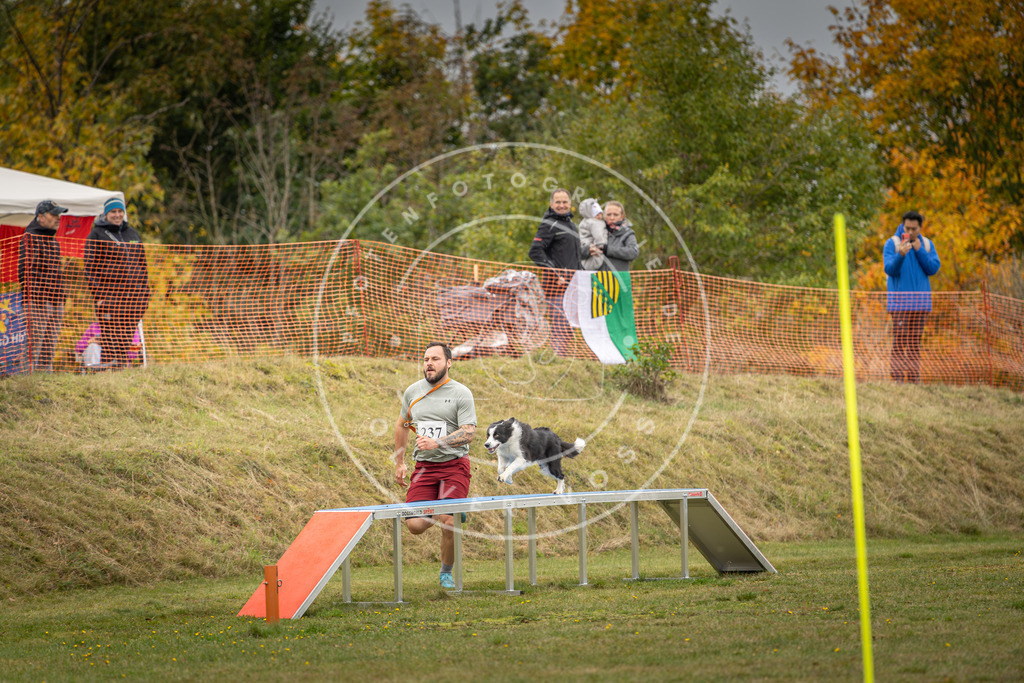 Pfotenfotografie_DV3A5745 | Hundefotografie, Tierfotograf, Pfotenfotografie, Fotoshooting Hund, Hunde Portrait, Hundesport, Hundeportraits, Heideshooting, Hunde, Sportfotograf, Hundefotograf, Turnierhundsport, THS,  - Realisiert mit Pictrs.com