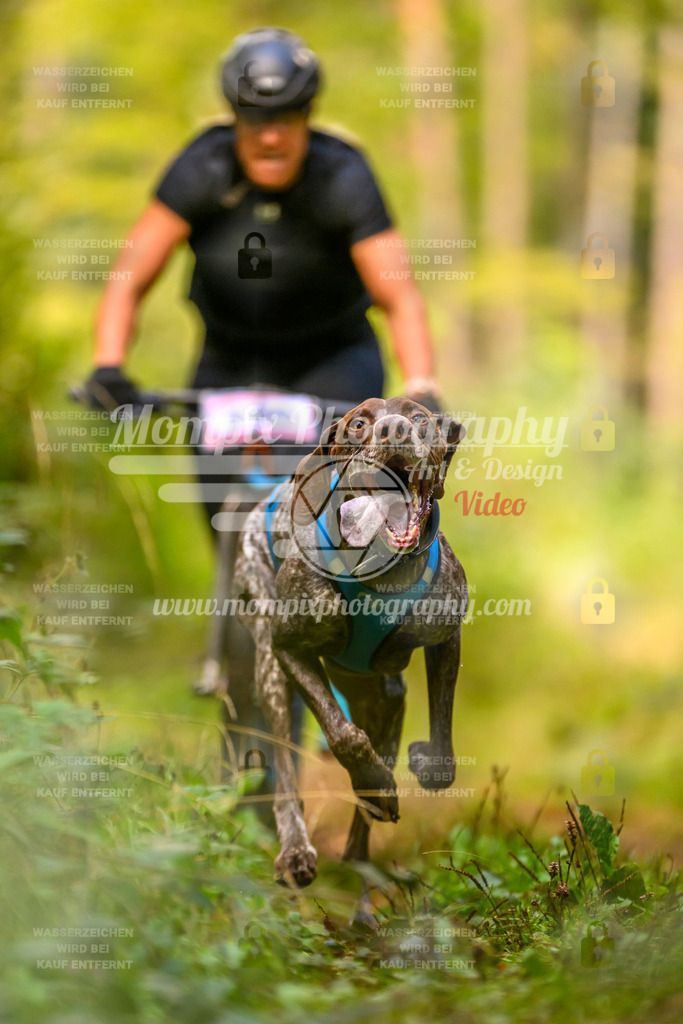 MompixPhotography_Yens2025_B2-31 | PayLife
