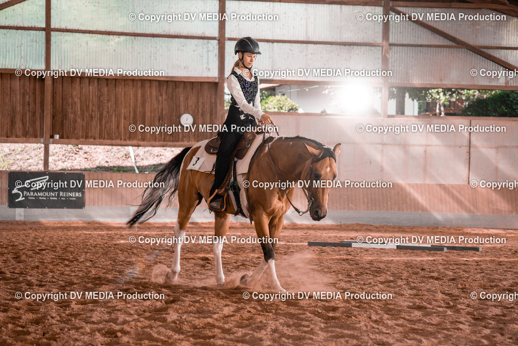 NE200236 | dv-media-shop - Realisiert mit Pictrs.com