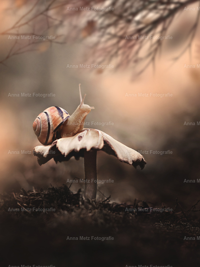 IMG_7214 | anna-metz - Realisiert mit Pictrs.com
