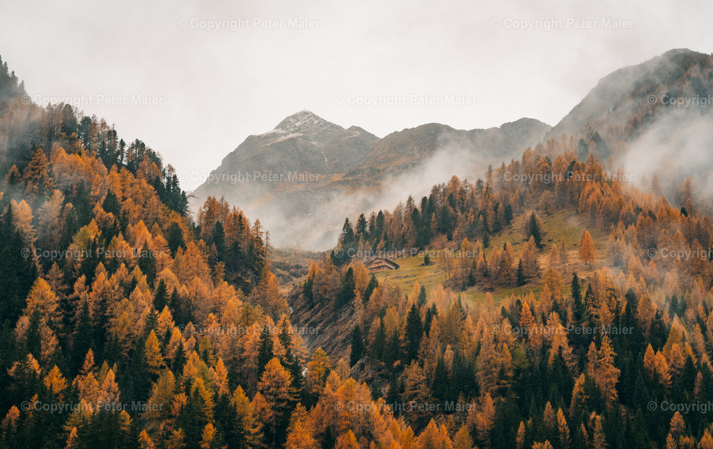 Oberstalleralm_Herbst_2022-40 | piet_flosse