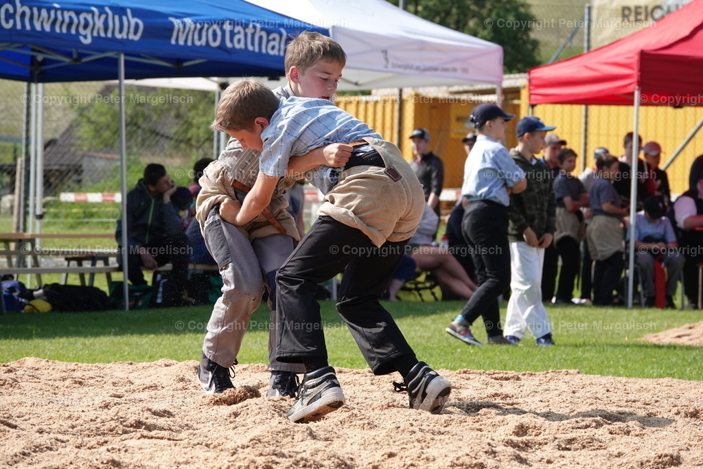 DSC04342 | Schwingen - Realisiert mit Pictrs.com