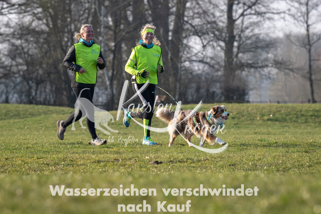 _ZZ92990 | kk-dogfotos