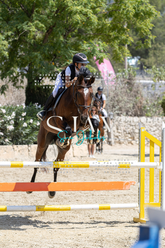 IMG_8062 | s-jay-photography - Realisiert mit Pictrs.com