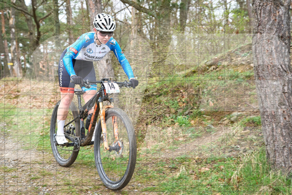 34. KTM Kamptal Trophy  | ZÖBING, Österreich – 2026-03-29: 34. KTM Kamptal TrophyFoto: © 2026 Martin Bihounek - MB Creative e.U.
