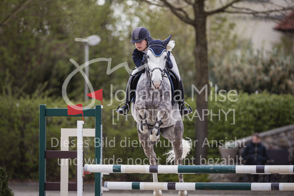 230426_HofSosath_Stil-L-543 | Deine schönsten Turniermomente als professionelle Fotos! Entdecke hochwertige Pferdesport-Fotografie im Online-Shop. Jetzt Fotos finden & bestellen!