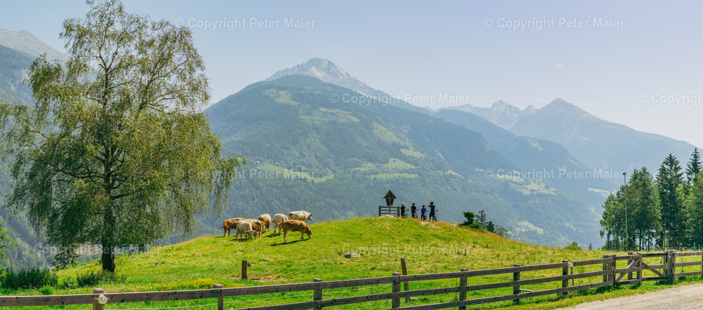 Launsberg_Trail_2022-7 | piet_flosse