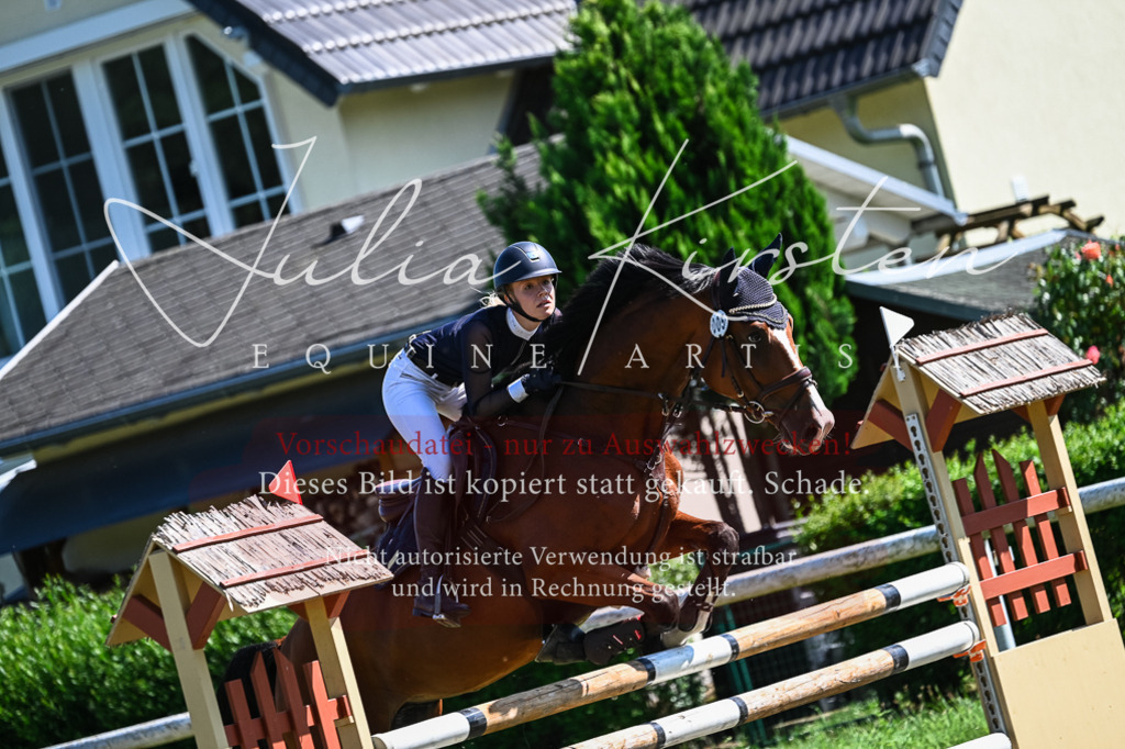 DSC_1616 | Pferde- und Turnierfotografie in Westsachsen. Pferdeportraits, Auftragszeichnungen und intuitive Kunst.