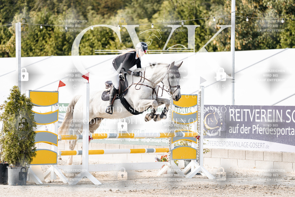 CK906170 | Turnierfotografie Pferdefotografie Trier Rheinland-Pfalz Pferdesport Reitsport Tierfotografie Sportfotografie Pferdevideo Pferdevideografie Equestrianvideography equestrianphotography  - Realisiert mit Pictrs.com