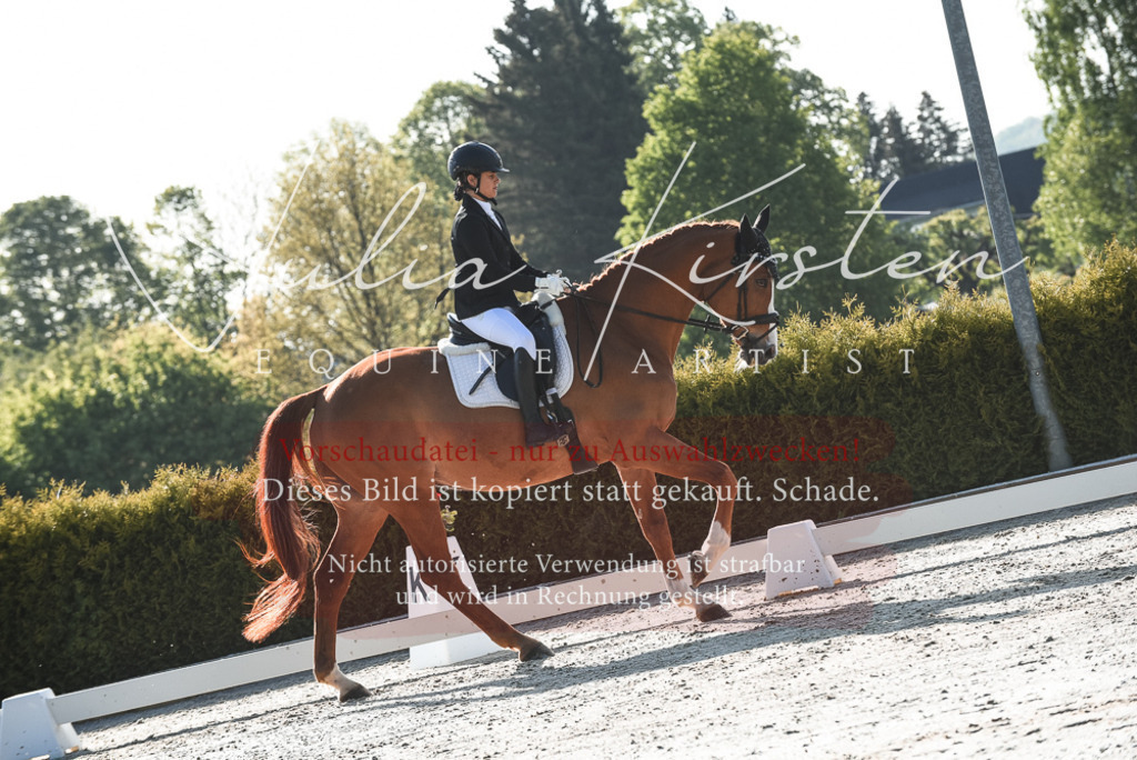 20230518_JK-Röhrsdorf-09-0442 | Pferde- und Turnierfotografie in Westsachsen. Pferdeportraits, Auftragszeichnungen und intuitive Kunst.