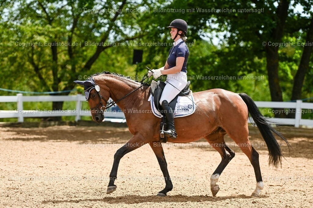 20230715_05_Dressurprüfung Kl.A++_0094 | equistock