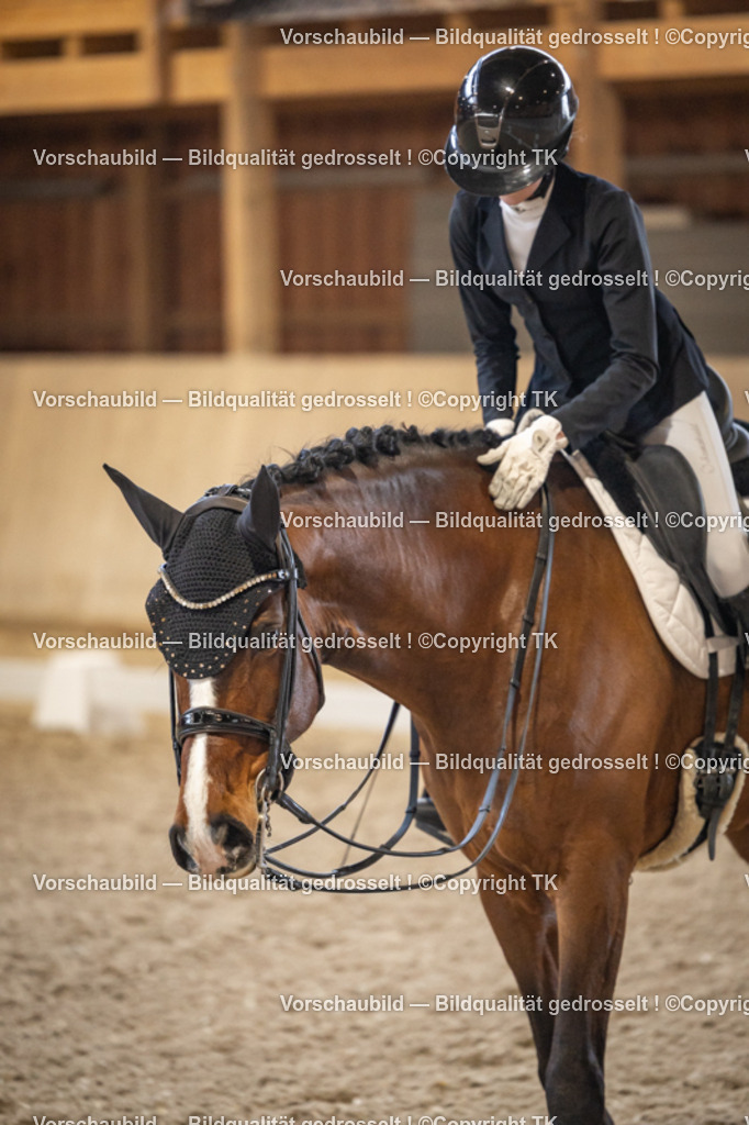 _D5A9035 | Emotionale Pferde- & People-Fotografie rund um Heidelberg, Leimen & Umgebung. Natürliche Fotos von Pferd, Mensch & Familie. Jetzt Termin sichern!