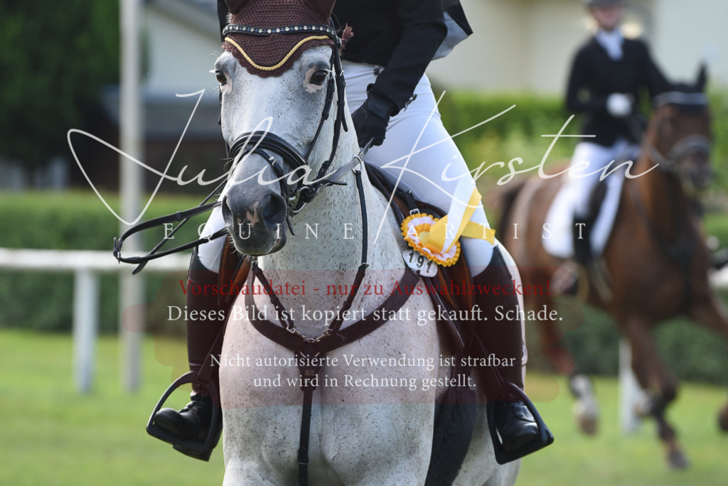 DSC_8994 | Pferde- und Turnierfotografie in Westsachsen. Pferdeportraits, Auftragszeichnungen und intuitive Kunst.