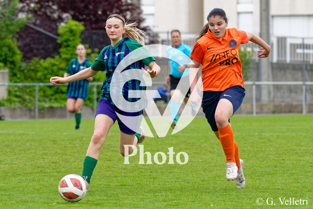 DSC_5484 | Velletri Photo