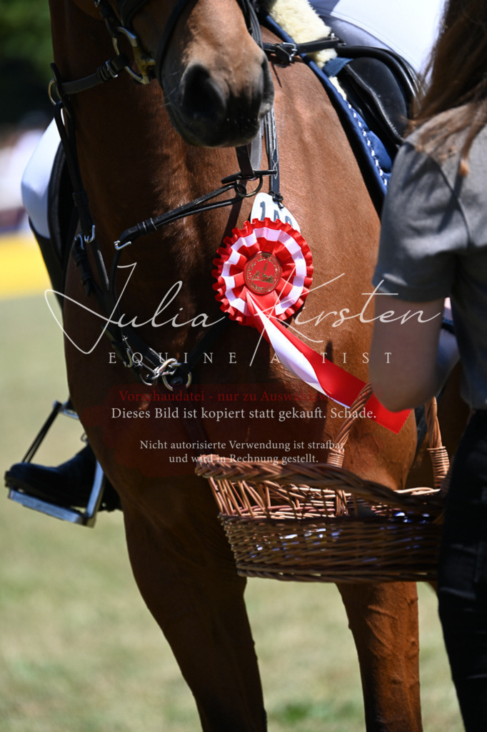 DSC_0887 | Pferde- und Turnierfotografie in Westsachsen. Pferdeportraits, Auftragszeichnungen und intuitive Kunst.