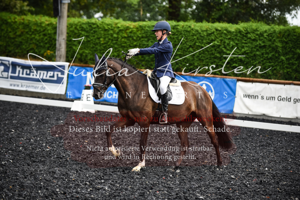 DSC_2970 | Pferde- und Turnierfotografie in Westsachsen. Pferdeportraits, Auftragszeichnungen und intuitive Kunst.