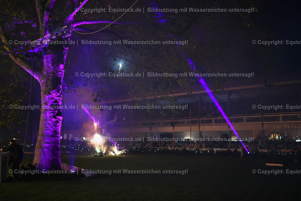 20230526_Pferdenacht_1639 | equistock