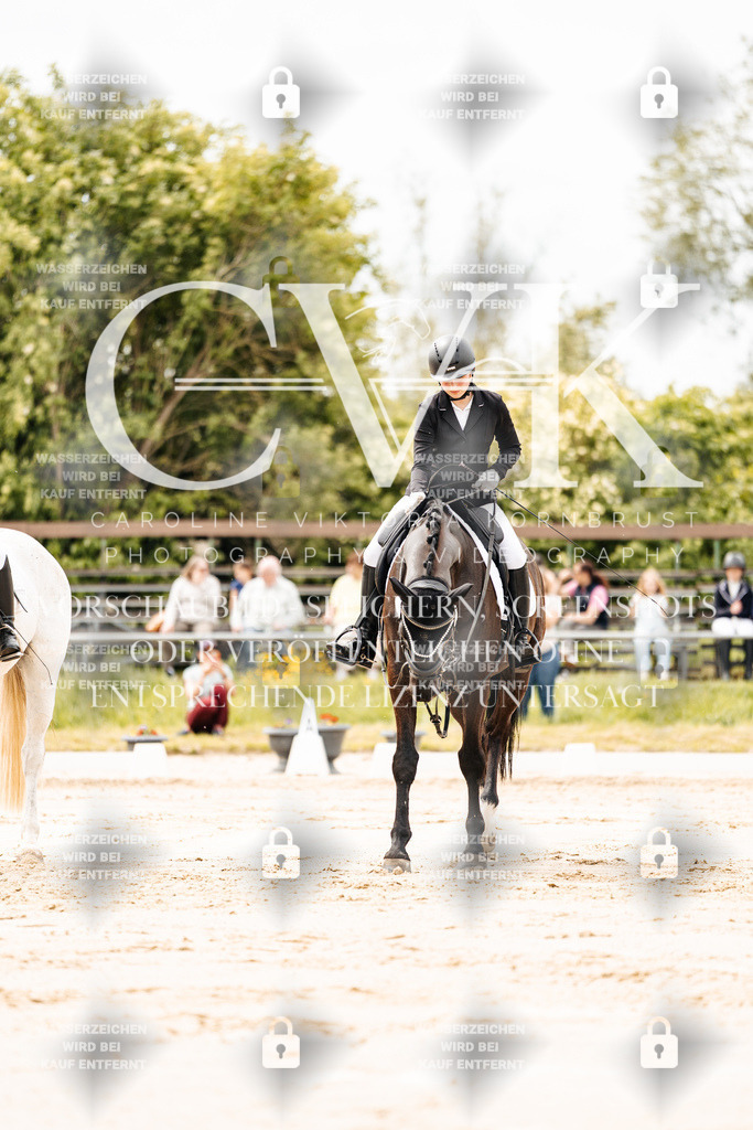 CK902750 | Turnierfotografie Pferdefotografie Trier Rheinland-Pfalz Pferdesport Reitsport Tierfotografie Sportfotografie Pferdevideo Pferdevideografie Equestrianvideography equestrianphotography  - Realisiert mit Pictrs.com