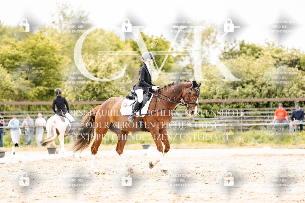 CK902981 | Turnierfotografie Pferdefotografie Trier Rheinland-Pfalz Pferdesport Reitsport Tierfotografie Sportfotografie Pferdevideo Pferdevideografie Equestrianvideography equestrianphotography  - Realisiert mit Pictrs.com