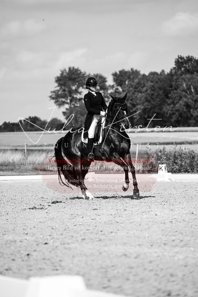 DSC_3396 | Pferde- und Turnierfotografie in Westsachsen. Pferdeportraits, Auftragszeichnungen und intuitive Kunst.