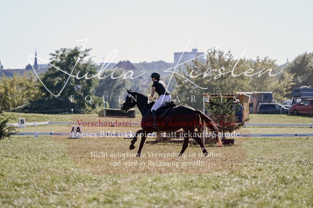 DSC_3582 | Pferde- und Turnierfotografie in Westsachsen. Pferdeportraits, Auftragszeichnungen und intuitive Kunst.