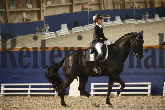 Turnier_Zeutern_2022_Prfg.Nr.02_Kurz-GrandPrix_Petra van Esch_Fiftyfifty 3 (17) | Alle Fotos der Reiterjournal Fotografin Doris Matthaes im Reiterjournal Online-Fotoshop. - Realisiert mit Pictrs.com